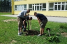 Vysadenie stromčekov v areáli telocvične v prírode na Spojenej škole